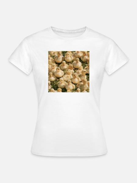 Gelbe Entenküken auf Gras - Frauen T-Shirt - Weiß