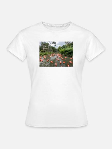 Flamingos im Sumpf - Frauen T-Shirt - Weiß