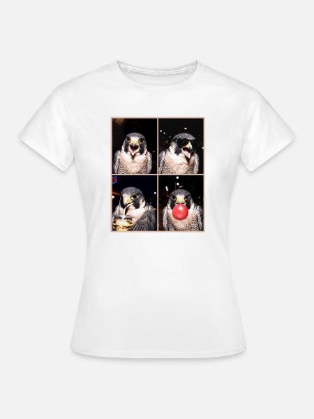 Falken Falke - Frauen T-Shirt - Weiß