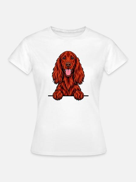 Irischer Setter - Frauen T-Shirt - Weiß
