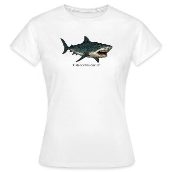 Galeocerdo cuvier Tigerhai Design - Frauen T-Shirt - Weiß - Vorne - AI Model Female 172 dark (172cm)