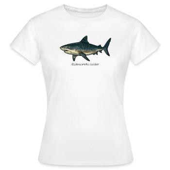 Galeocerdo cuvier Tigerhai Design - Frauen T-Shirt - Weiß - Vorne - AI Model Female 172 dark (172cm)