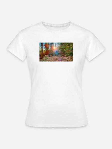 Sonnenlicht im Herbstwald - Frauen T-Shirt - Weiß