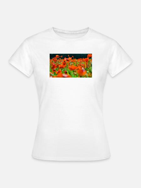 Orange Poppiesveld in Sun - Frauen T-Shirt - Weiß