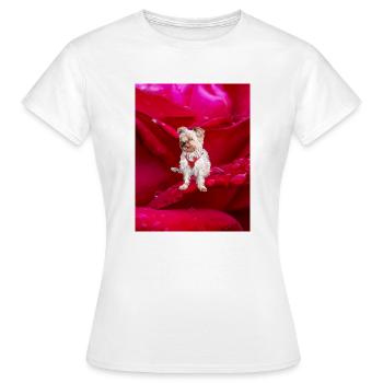 Yorkshire Terrier Rose - Frauen T-Shirt - Weiß - Vorne - AI Model Female 172 dark (172cm)