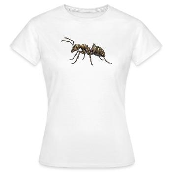 Motif graphique réaliste isolé de Ant Brown - T-shirt Femme - blanc - Devant - AI Model Female 172 dark (172cm)