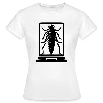 Insektenmuseum - Frauen T-Shirt - Weiß - Vorne - AI Model Female 172 dark (172cm)