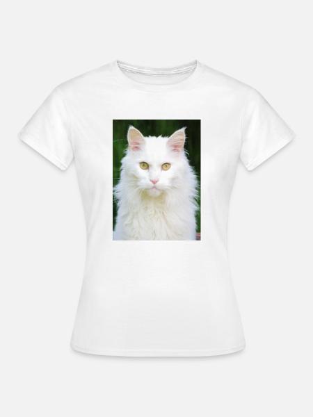 Katzen - Frauen T-Shirt - Weiß