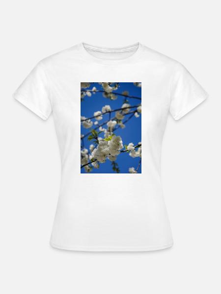 Frühlingsblüte am blauen Himmel - Frauen T-Shirt - Weiß