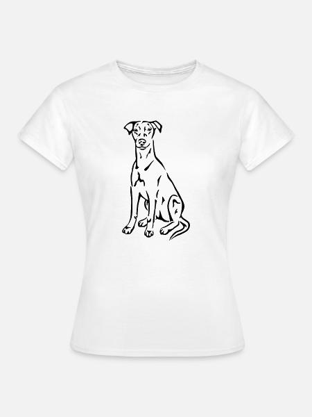 Deutscher Pinscher - Frauen T-Shirt - Weiß