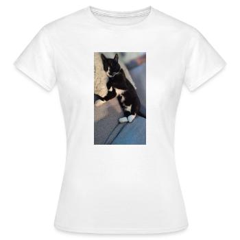 TUXEDO CAT SLEEPING - Women's T-Shirt - white - Front - AI Model Female 172 dark (172cm)