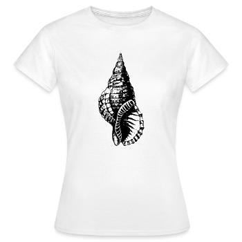 Meeresschnecke Schneckenhaus in schwarz - Frauen T-Shirt - Weiß - Vorne - AI Model Female 172 dark (172cm)