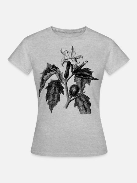 Stechapfel - Frauen T-Shirt - Grau meliert