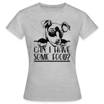 Sweet dog / German pinscher / gift - Women's T-Shirt - heather grey - Front - AI Model Female 172 dark (172cm)