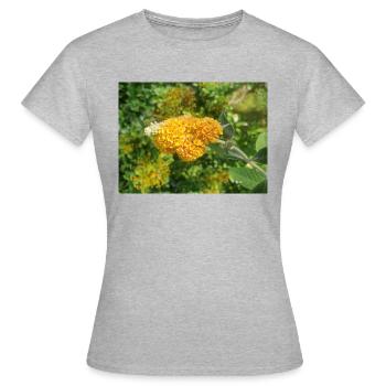 buddleia, buisson de papillons ou lilas d’été 'Sungold' - T-shirt Femme - gris chiné - Devant - AI Model Female 172 dark (172cm)