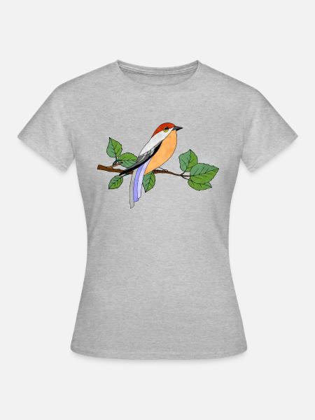 Bunter Vogel - Frauen T-Shirt - Grau meliert