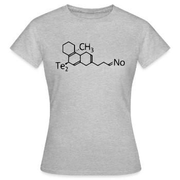 Techno - T-shirt Femme - gris chiné - Devant - AI Model Female 172 dark (172cm)