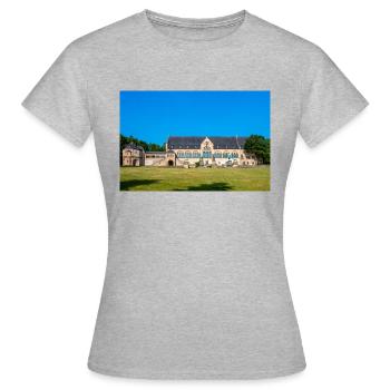 The Imperial Palace of Goslar (Kaiserpfalz) Goslar - Women's T-Shirt - heather grey - Front - AI Model Female 172 dark (172cm)