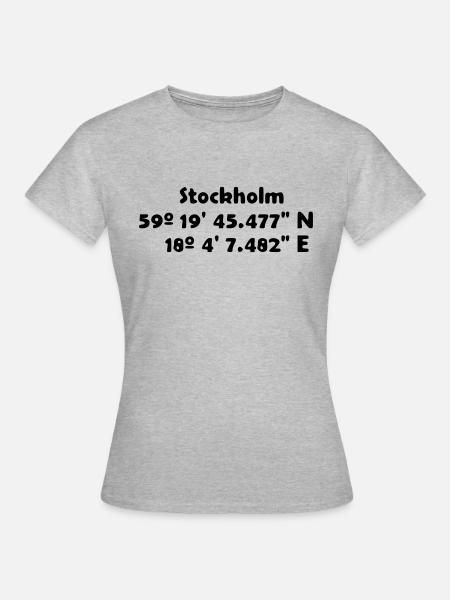 Stockholm - Frauen T-Shirt - Grau meliert