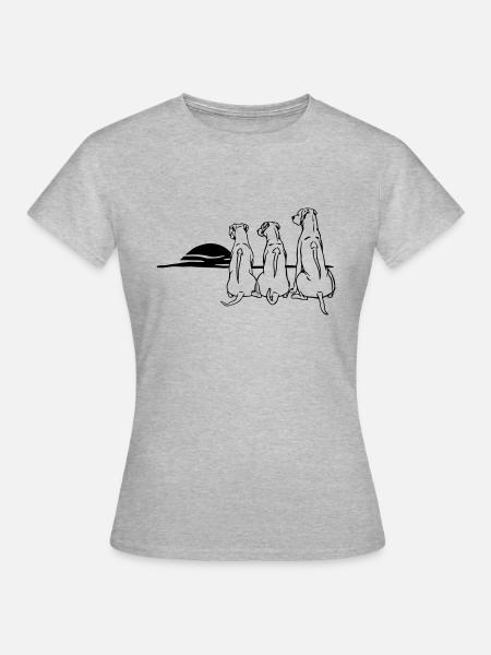 3 Rhodesian Ridgeback - Frauen T-Shirt - Grau meliert