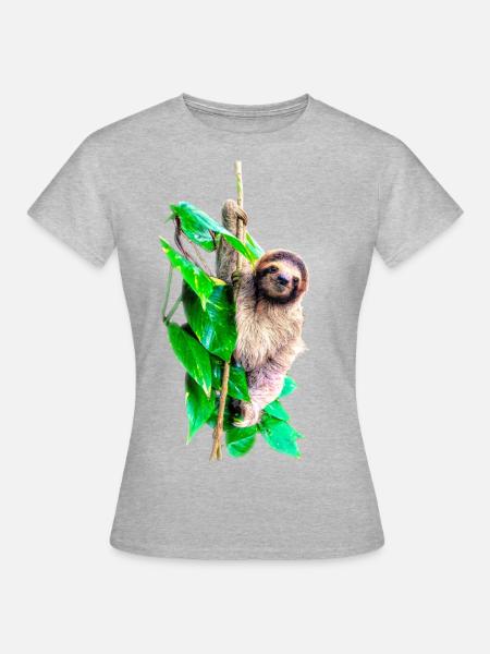 Kleines Faultier, Tiere, Regenwald, Costa Rica - Frauen T-Shirt - Grau meliert