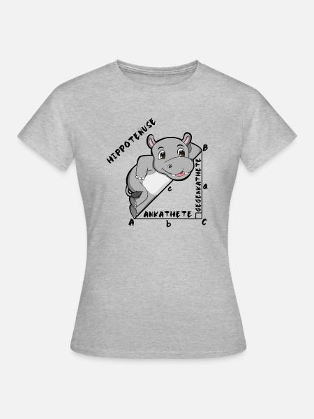 Hippotenuse Cool Fun Shirt Pythagoras Mathe Lovers - Frauen T-Shirt - Grau meliert