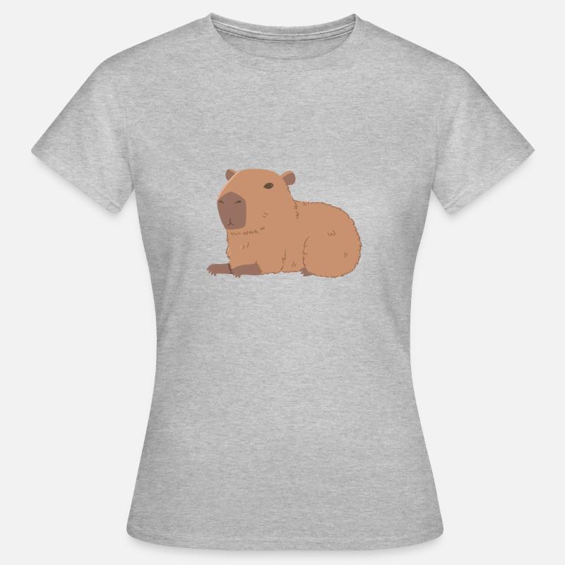 Resting Capybara - Women's T-Shirt - heather grey