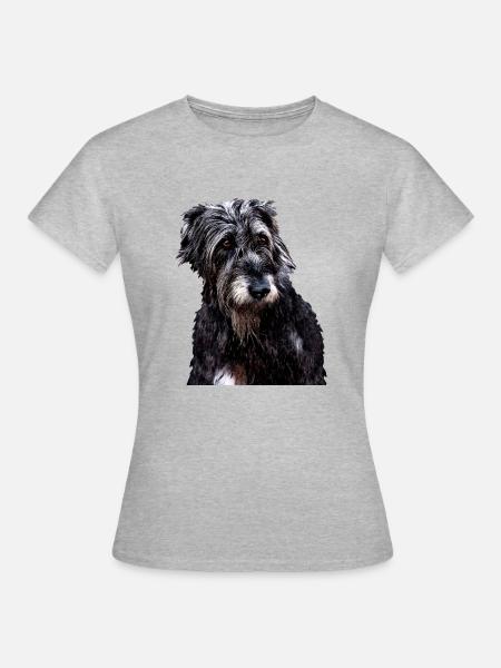 irischer Windhund irischer Wolfshund - Frauen T-Shirt - Grau meliert