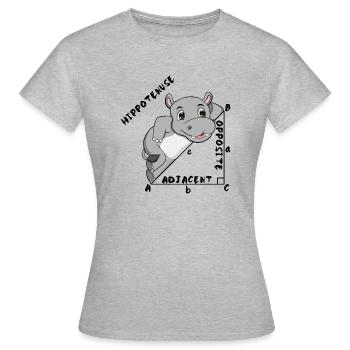 Hippotenuse Cool Fun Shirt Pythagore Math Lovers - T-shirt Femme - gris chiné - Devant - AI Model Female 172 dark (172cm)