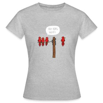 oiseaux WIFI - T-shirt Femme - gris chiné - Devant - AI Model Female 172 dark (172cm)