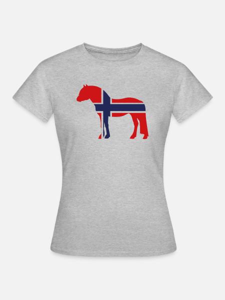 Fjord Flagge linear - Frauen T-Shirt - Grau meliert