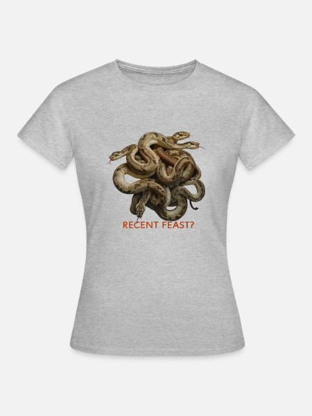 SCHLANGEN, KÜRZLICHES FEST - Frauen T-Shirt - Grau meliert