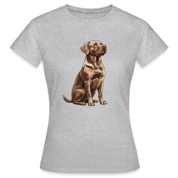 Brown Labrador - Women's T-Shirt - heather grey - Front - AI Model Female 172 dark (172cm)