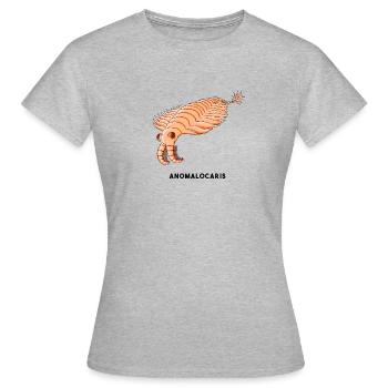 ANOMALOCARIS - Frauen T-Shirt - Grau meliert - Vorne - AI Model Female 172 dark (172cm)