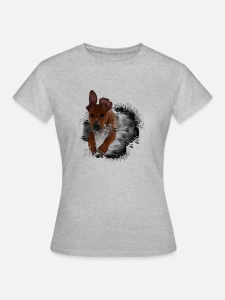Rhodesian Ridgeback - Frauen T-Shirt - Grau meliert