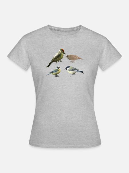 Singvögel - Frauen T-Shirt - Grau meliert