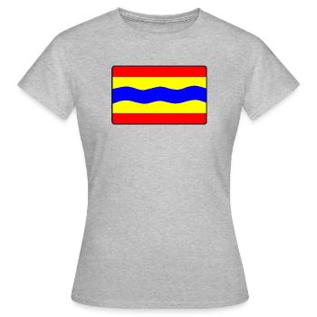 Drapeau de la province Overijsselsevlag Overijssel - T-shirt Femme - gris chiné - Devant - AI Model Female 172 dark (172cm)