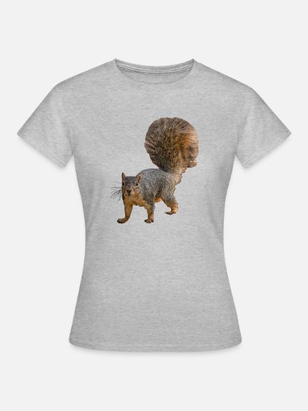 Eichhörnchen von vorne, Östliches Fuchshörnchen - Frauen T-Shirt - Grau meliert