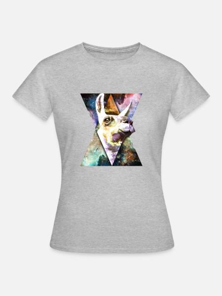 Lamarama in space - Frauen T-Shirt - Grau meliert
