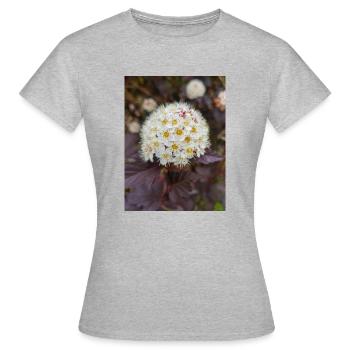 Blasenspiere à neuf écorces Physocarpus capitatus - T-shirt Femme - gris chiné - Devant - AI Model Female 172 dark (172cm)
