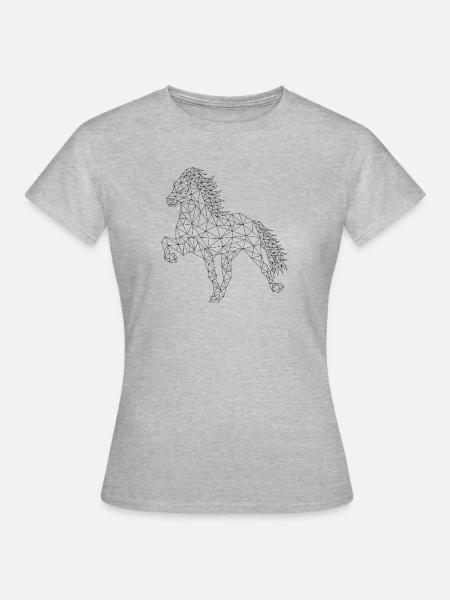 Geometischer Isländer - Frauen T-Shirt - Grau meliert
