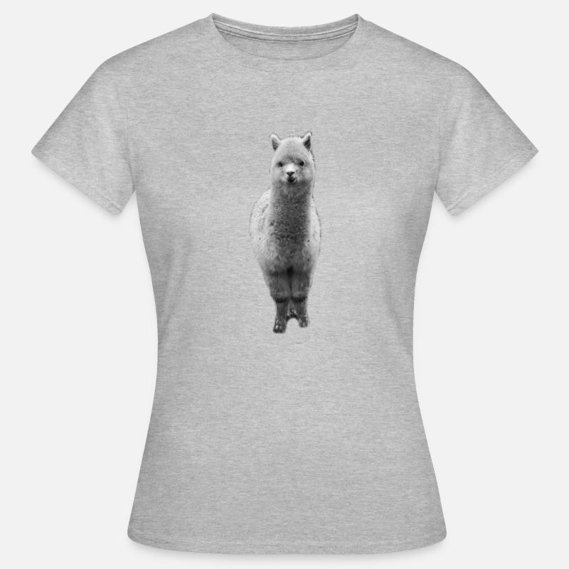 alpaca | alpaca - Maglietta da donna - grigio melange