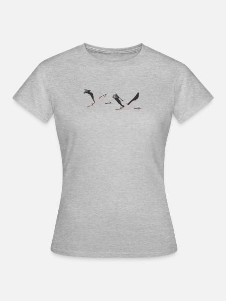 Kraniche, Commoncrane, eurasischer Kranich - Frauen T-Shirt - Grau meliert