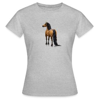 Walisisch - Frauen T-Shirt - Grau meliert - Vorne - AI Model Female 172 dark (172cm)
