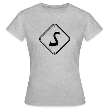 blind snake caution caution caution h - Women's T-Shirt - heather grey - Front - AI Model Female 172 dark (172cm)