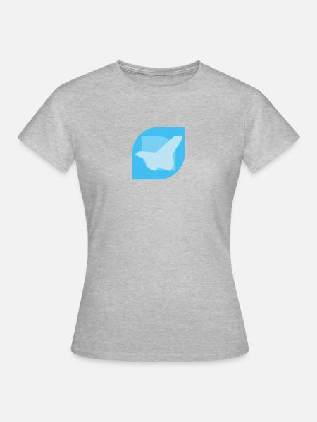 Aerospace Engineering Aerospace Aerospace - Frauen T-Shirt - Grau meliert