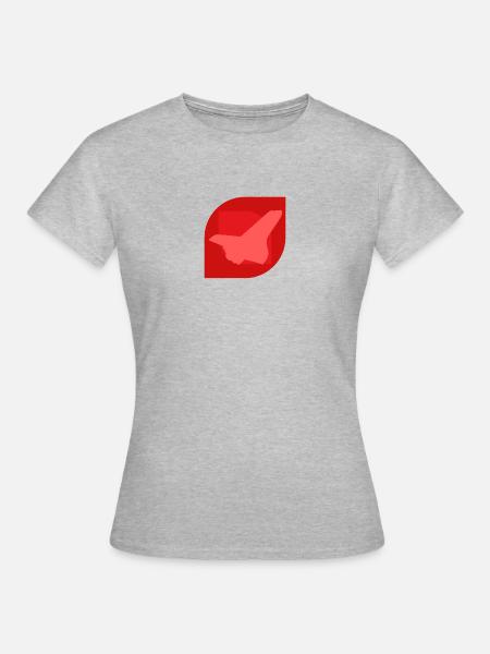 Aerospace Aerospace Engineering Flugzeug - Frauen T-Shirt - Grau meliert