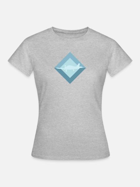 Aerospace Engineering Aerospace Luftfahrt - Frauen T-Shirt - Grau meliert