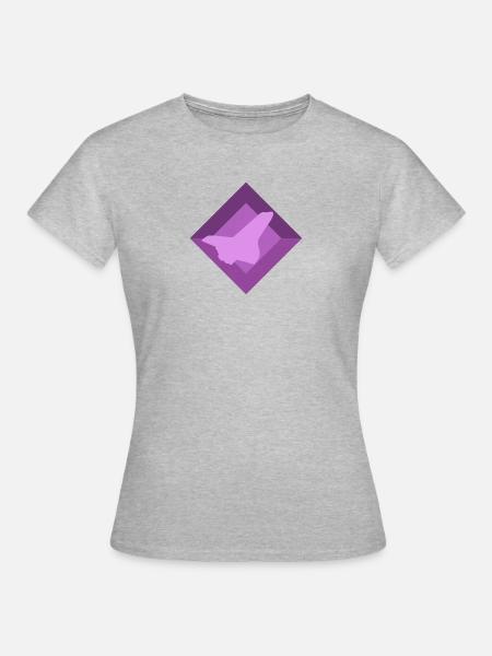 Aerospace Engineering Aerospace Engineering - Frauen T-Shirt - Grau meliert
