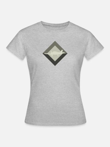 Aerospace Aerospace Engineering Aerospace - Frauen T-Shirt - Grau meliert